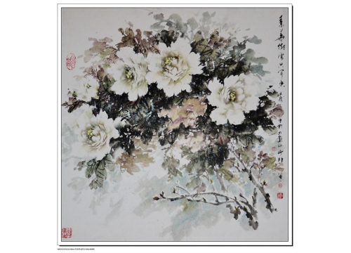 王少非作品白牡丹（傲雪怡人香）